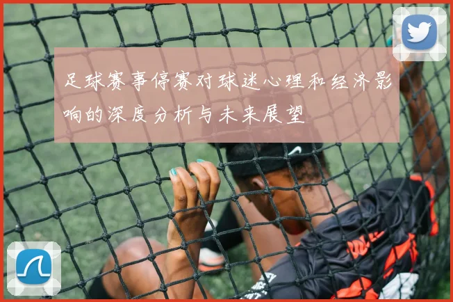 足球赛事停赛对球迷心理和经济影响的深度分析与未来展望