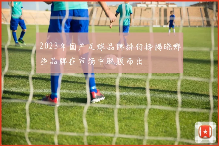 2023年国产足球品牌排行榜揭晓哪些品牌在市场中脱颖而出