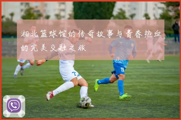 湘北篮球馆的传奇故事与青春热血的完美交融之旅